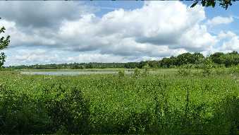 Finchampstead from the Blackwater river.